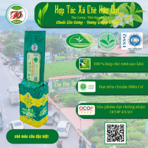 HTX CHÈ HẢO ĐẠT 53