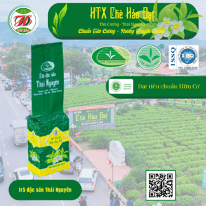 HTX CHÈ HẢO ĐẠT chè đặc sản thái nguyên gói 200g